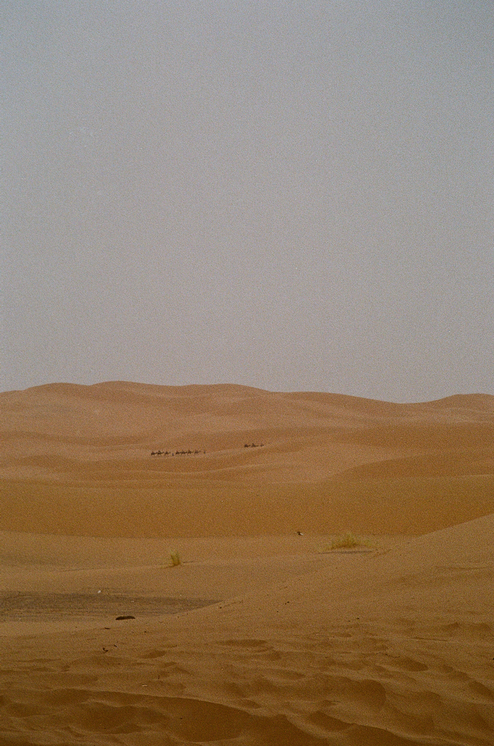 Marnie Boller  Film